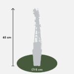 Jasminum nudiflorum - ↨65cm - Ø15 - Imagen 2