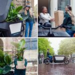 Calathea en vidrio Samoa con iluminación LED - Ø12cm - ↕10cm - Imagen 5