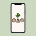 Clusia En Cristal Kingston + LED - Ø12 ↕30 - Imagen 4