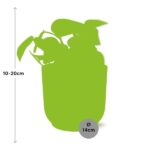 Scindapsus Pictus ‘Trebie’ en ELHO Vibes Fold 14cm rosa - Imagen 3