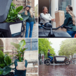 Sanseviera en vidrio cilíndrico - Ø12cm - ↕30cm - Imagen 6