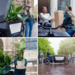 Calathea Warscewiczii - Planta Pavo Real - 70cm - Ø19 - Imagen 7